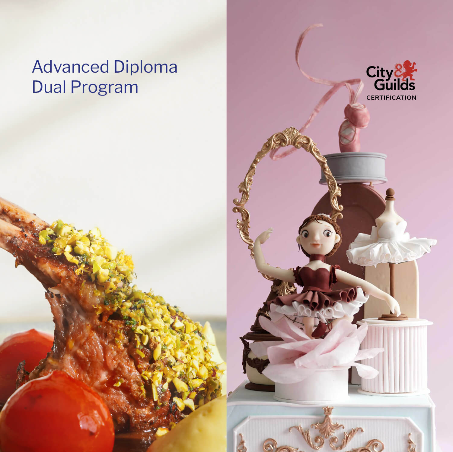Advanced Diploma Dual Program